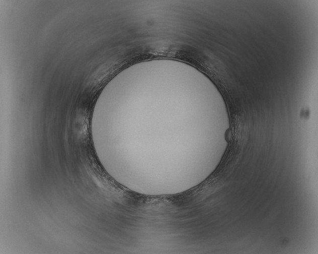 X0000110681154200906261314