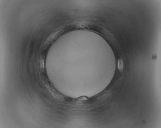 X0000110681155200906261314