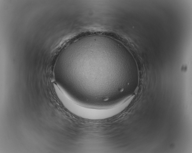 X0000110681157200906261314