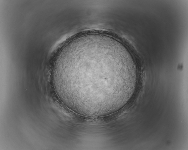 X0000110681159200906261314