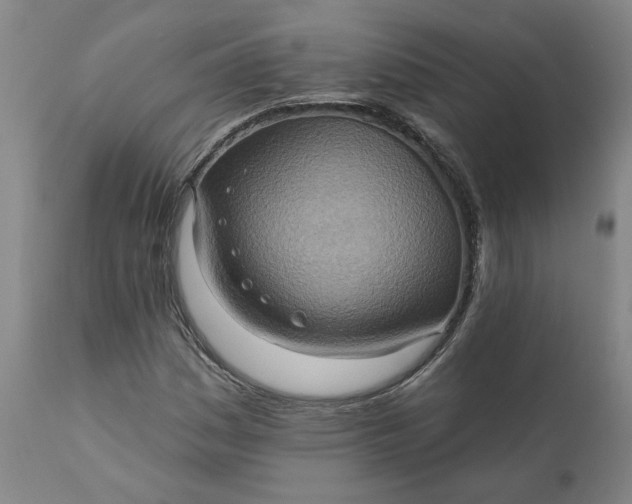 X0000110681161200906261314