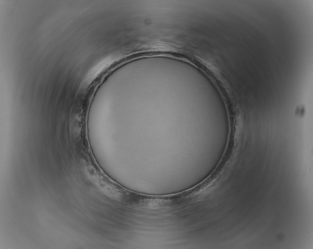 X0000110681163200906261314