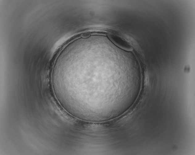 X0000110681164200906261314