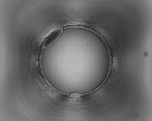 X0000110681165200906261314