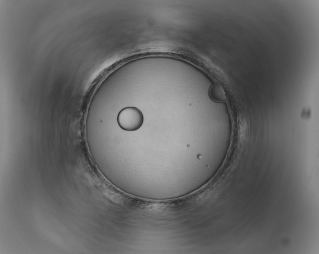 X0000110681166200906261314