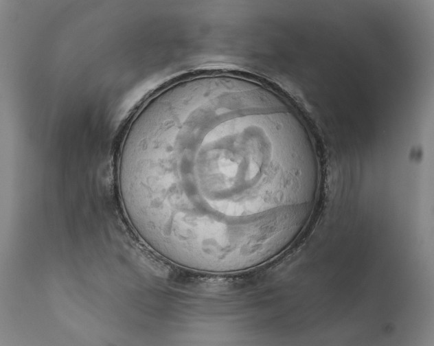 X0000110681167200906261314