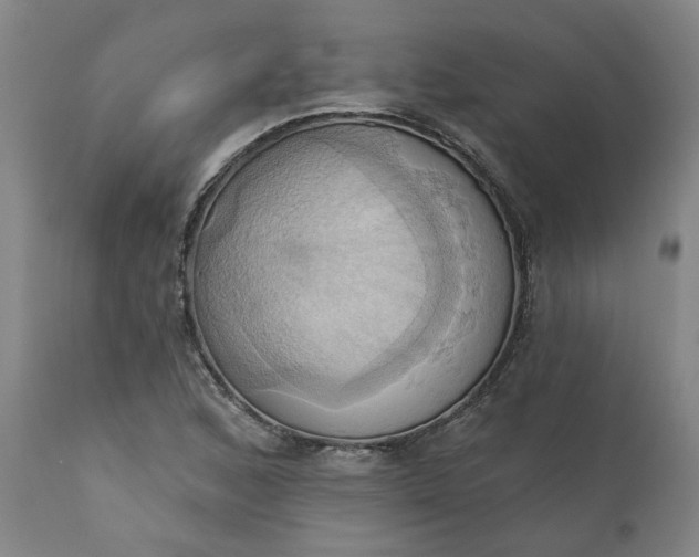 X0000110681168200906261314