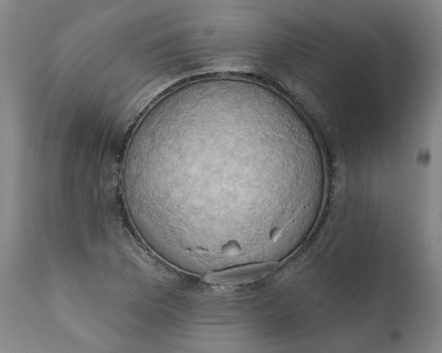 X0000110681169200906261314