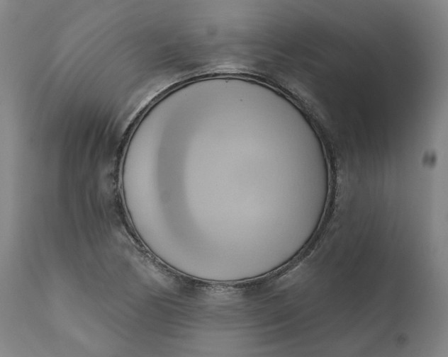 X0000110681170200906261314