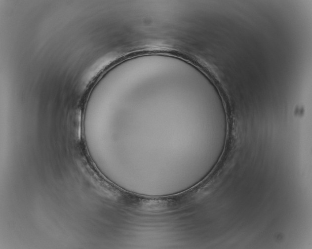 X0000110681171200906261314