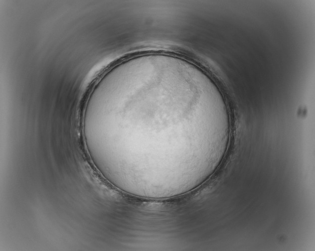 X0000110681172200906261314