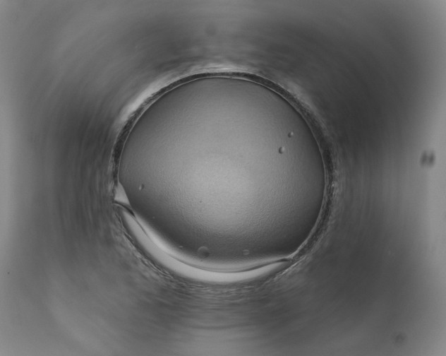 X0000110681173200906261314