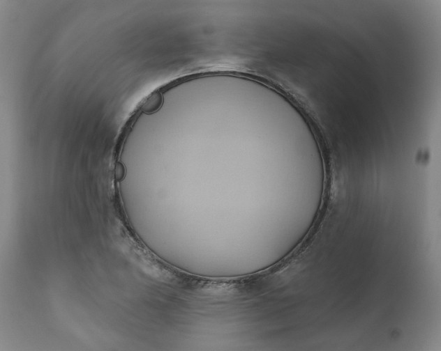 X0000110681174200906261314