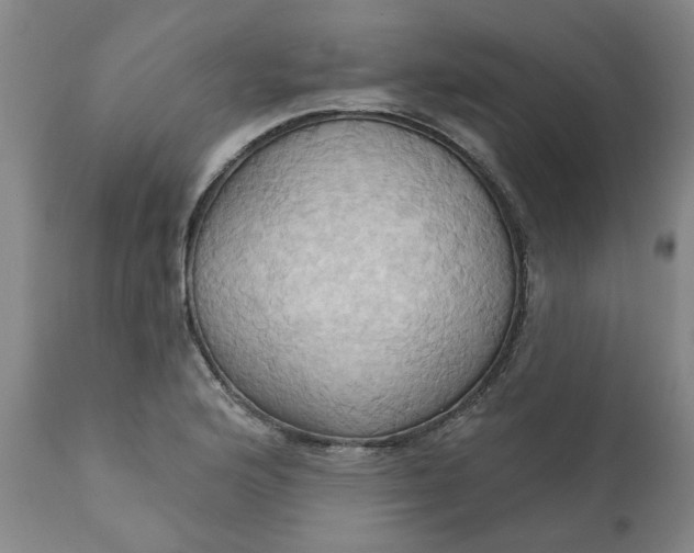 X0000110681176200906261314