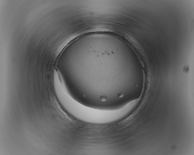 X0000110681177200906261314