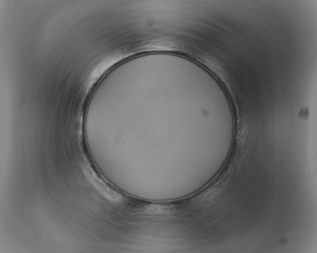 X0000110681179200906261314