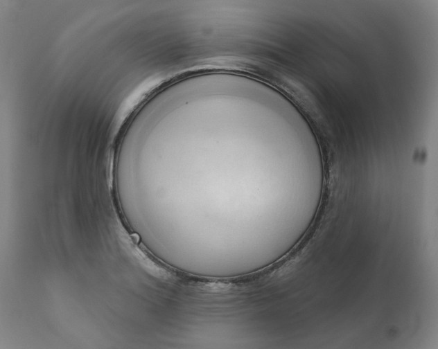 X0000110681180200906261314