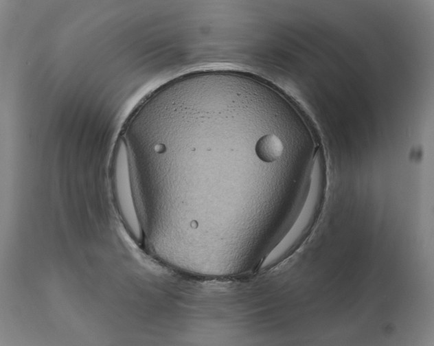 X0000110681181200906261314