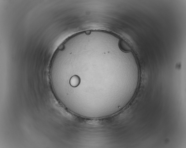 X0000110681182200906261314