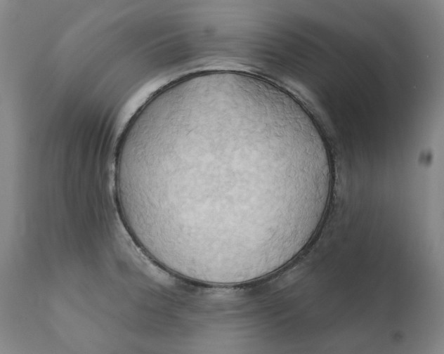 X0000110681188200906261313