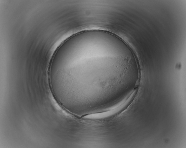 X0000110681189200906261313