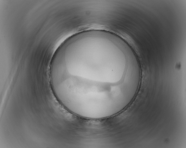 X0000110681190200906261313