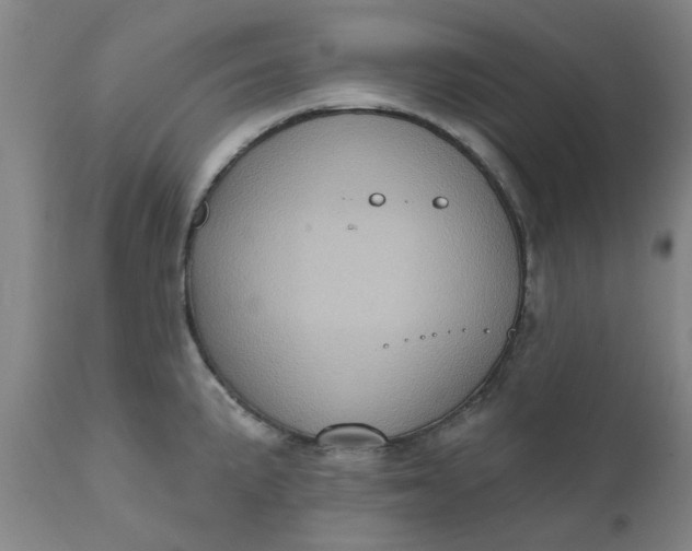 X0000110681191200906261313