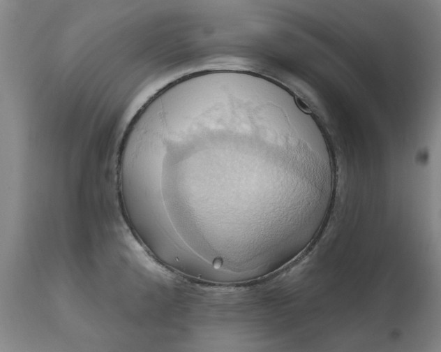 X0000110681192200906261313