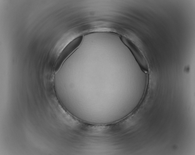 X0000110681193200906261313