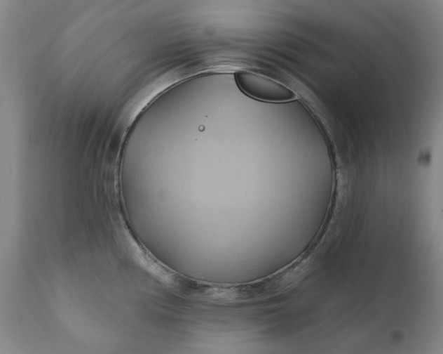 X0000110681194200906261313