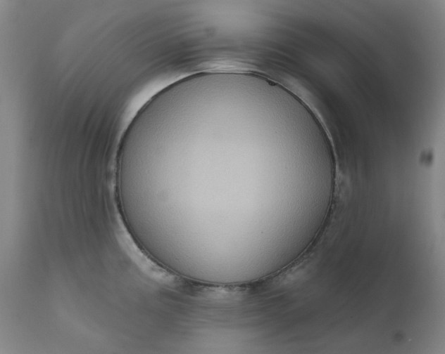 X0000110681195200906261313