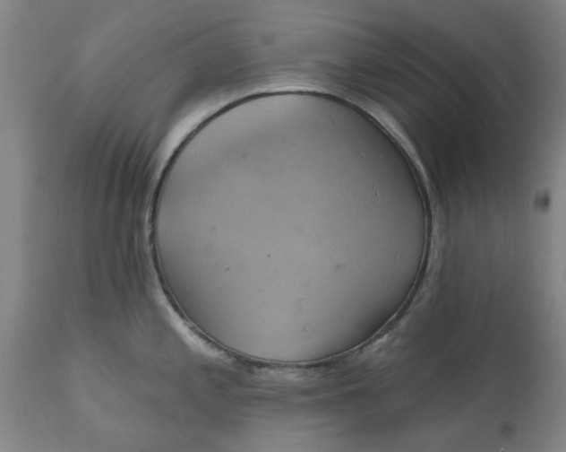 X0000110681197200906261313