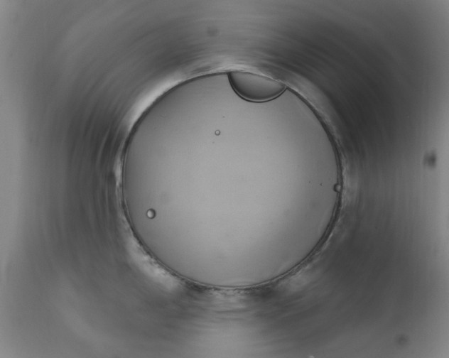 X0000110681198200906261313