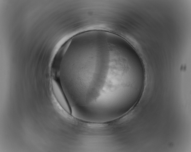 X0000110681200200906261313