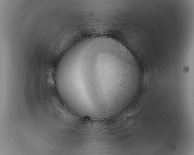 X0000110681202200906261312