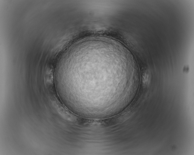 X0000110681204200906261312