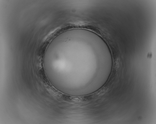 X0000110681205200906261312