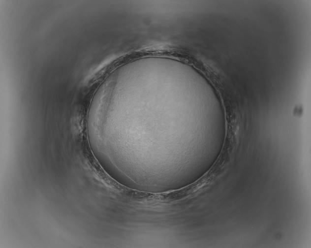 X0000110681206200906261312