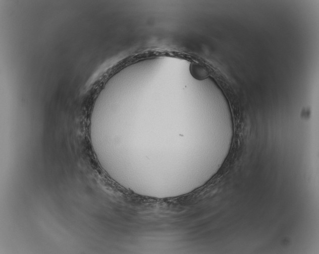 X0000110681207200906261312