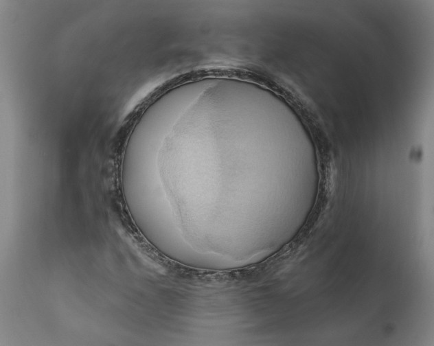 X0000110681208200906261312