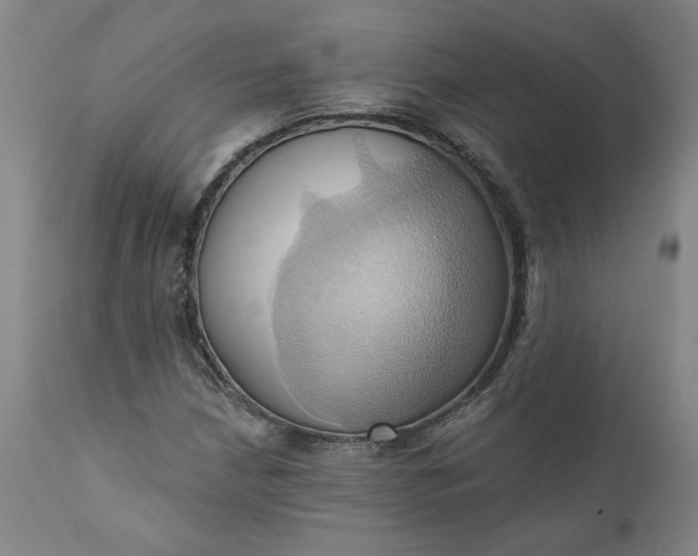 X0000110681210200906261313