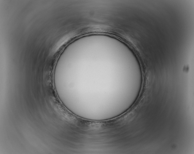 X0000110681211200906261313