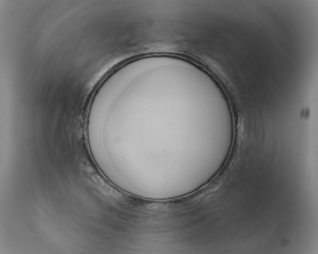 X0000110681212200906261313