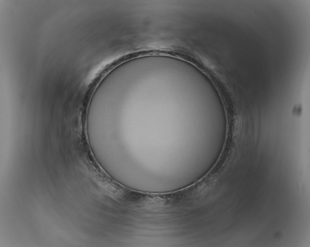 X0000110681214200906261313