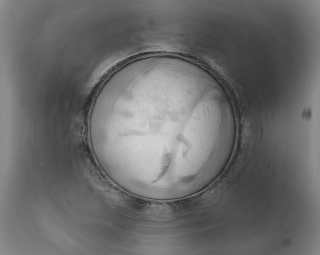 X0000110681215200906261313