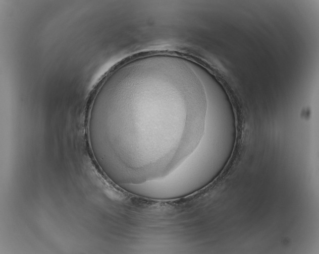 X0000110681216200906261313