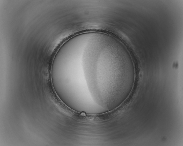 X0000110681218200906261313