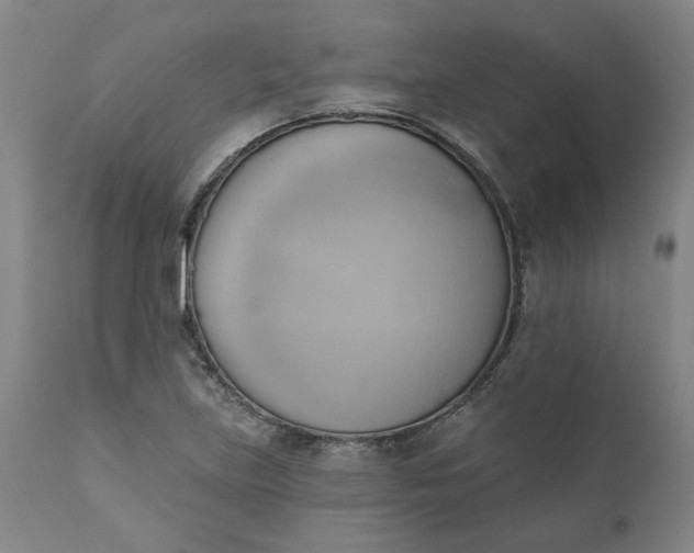 X0000110681219200906261313