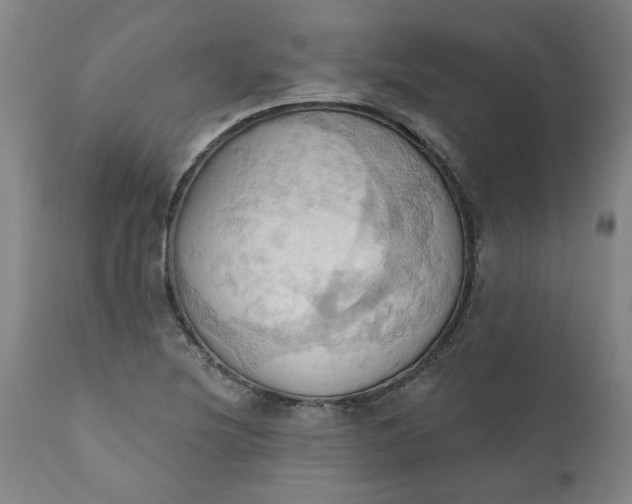 X0000110681220200906261313