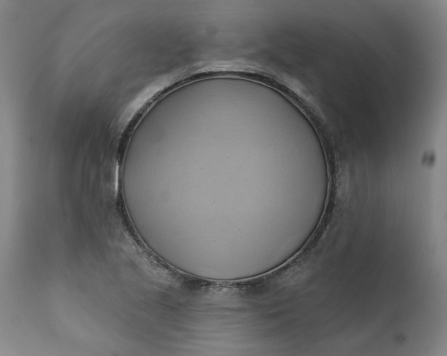 X0000110681221200906261313